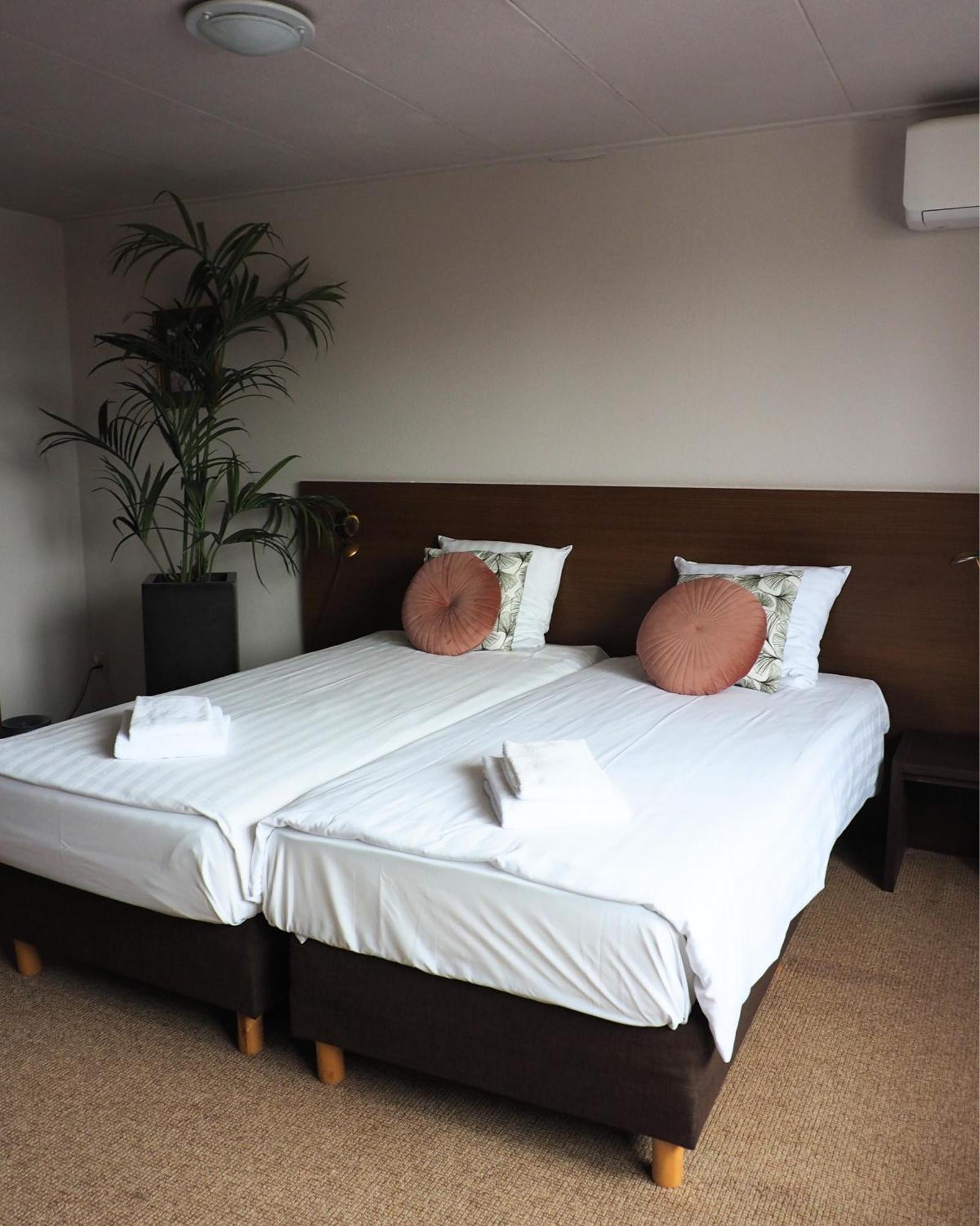 Standard Twin Room,1572722813:JPEG